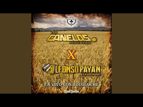 Los Arroyuelos (Tololoche)