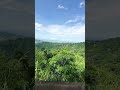 Beautiful Blue Mountain Jamaica
