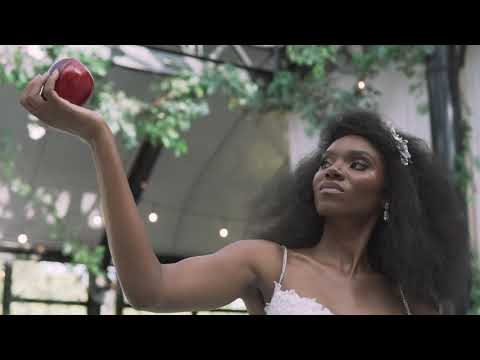 Dimitra Designs Bridal Salons The Knot