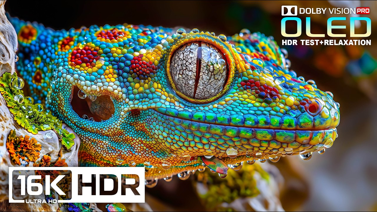 Like you've never seen before: Masterpiece 16K OLED HDR TEST | Dolby Vision 120FPS | 8K/4K Video TV