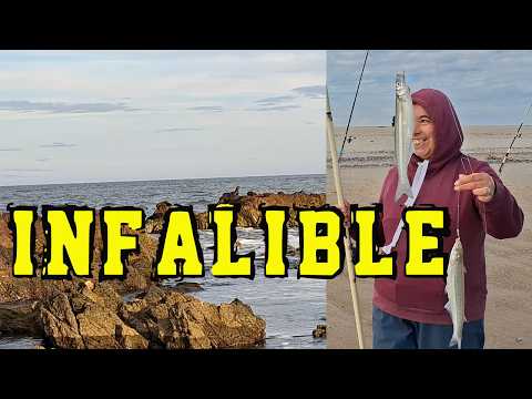 🎣Jornada INIGUALABLE. Pesca sutil. Santa Lucia Del Este