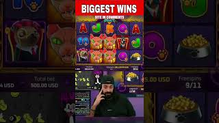 Roshtein Big Win!! #roshtein #casino #slots #gambling #bigwin #biggestwin Video Video