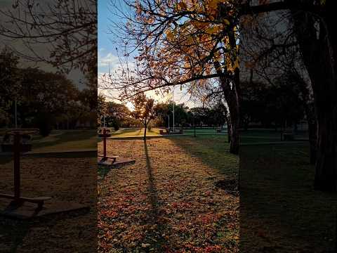 El sol escribe la tarde en Colonia Vicente Agüero.