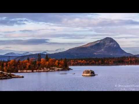 Vilda vackra Vilhelmina