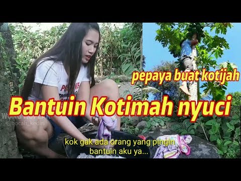 pepaya-buat-kotijah-bantuin-kotimah-jemur-baju-pak-ndutt-mukidi-part-14