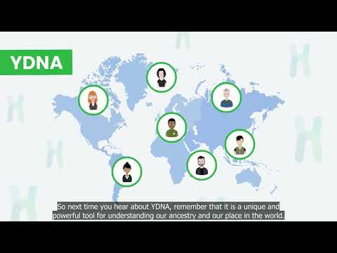 What is YDNA?
