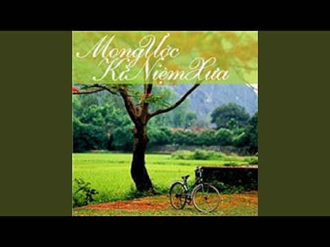 Tình không biên giới - Lam Trường