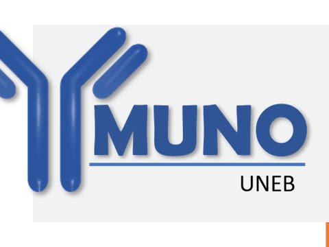 Imunologia - Sem 08 Resposta Imune Adaptativa (Introdução)