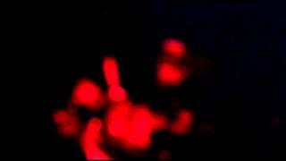 MARK LANEGAN - Tiny Grain of Truth (FULL HD)