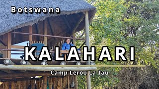 Central Kalahari desert Safari: Honest Review of Leroo La Tau  Zebras, Dry Rivers & No Lions