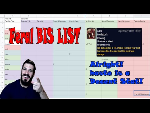 Feral Mythic Plus- Target BIS Gear!