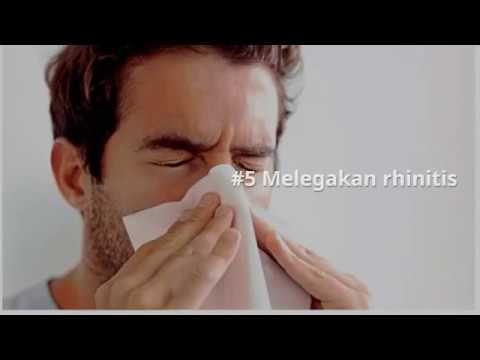 download lagu mp3 mp4 Allercalm Tablets, download lagu Allercalm Tablets gratis, unduh video klip Allercalm Tablets