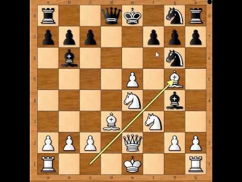 Pobednička igra Skakačima - NAJDORF vs NN - Becki gambit  # 349