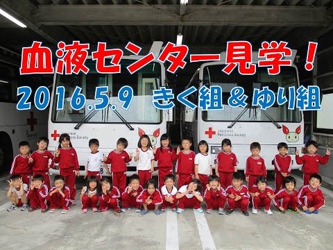 福井県赤十字血液センターを見学！きく組＆ゆり組(年長＆年中）2016年5月 勉強になりました。