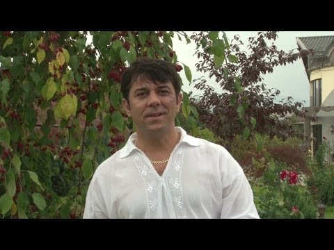 Ghita Munteanu - Un trifoi cu patru foi ultimul album 2013