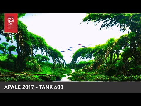 AQUASCAPE CONTEST - APALC 2017 TANK 400