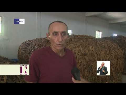 Espirituano Francisco Febles defiende el oficio de mojador en la actividad tabacalera