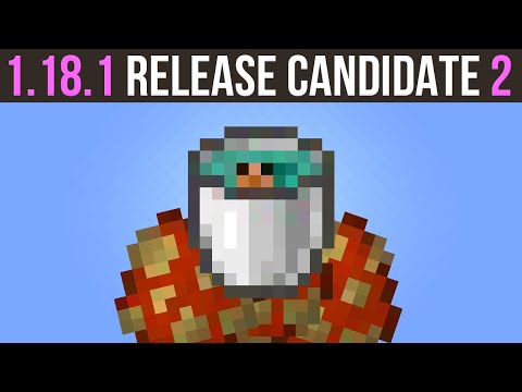 Minecraft 1.18.1 Release Candidate 2 - Come See The Tadpole From 1.19