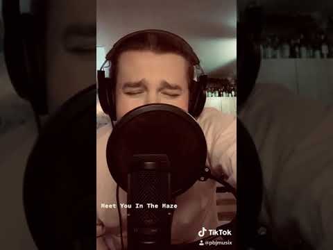 Meet You In The Maze – James Blake Cover by PBJ