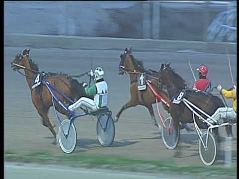 Trotto 19/01/2018 - 5ª corsa