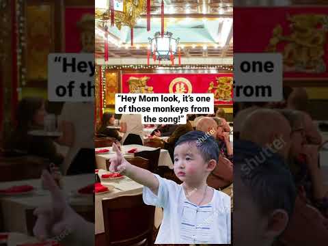 Chinese monkeys singing 😂