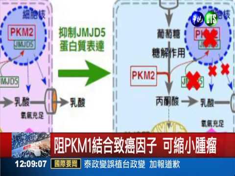 癌症新發現! 屬新陳代謝疾病