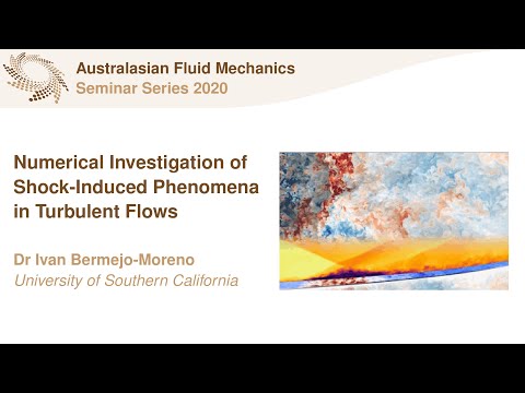 AFMS Webinar 2020 #21 - Dr Ivan Bermejo-Moreno (University of Southern California)