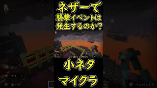ネザーでは『襲撃イベント』が発生しない説　【マイクラ/マインクラフト】 #shorts
