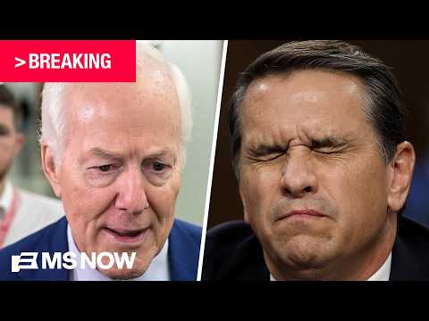BREAKING: Cornyn tells MS NOW Blanche meeting was 'constructive' but 'not there yet'