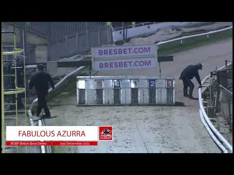 Fabulous Azurra - BGBF British Bred Derby Final 2021
