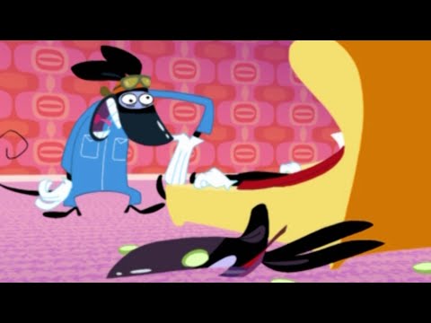 Ratz 😱 RAPIDO PERD LA TÊTE - Episodes en HD