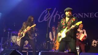 The Mavericks - &quot;Damned (If You Do)&quot;