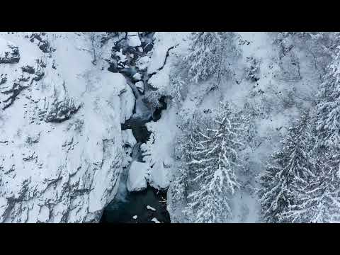 subcarpati & surorile osoianu - colind