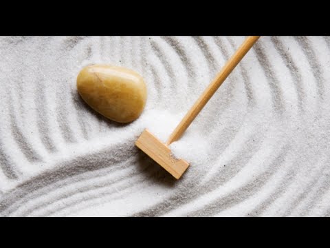 Daily Boost of Bitachon #41- Modesty of an Ant & Strength of a Tiger