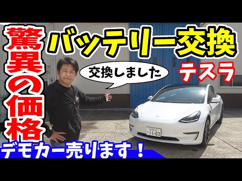 植物をモデルに: 新しい電気自動車が記録を更新