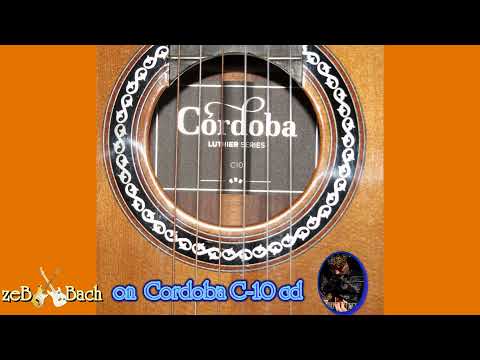 Gitara z @zebbach -Szukajac Jenny