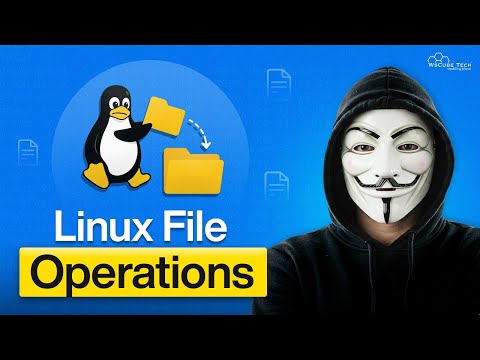 What is Linux Kernel OS Terminal for Beginners