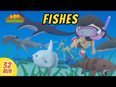 Fishes Minisode Compilation 🐟 Leo the Wildlife Ranger | Wildlife Show | Kids Cartoons