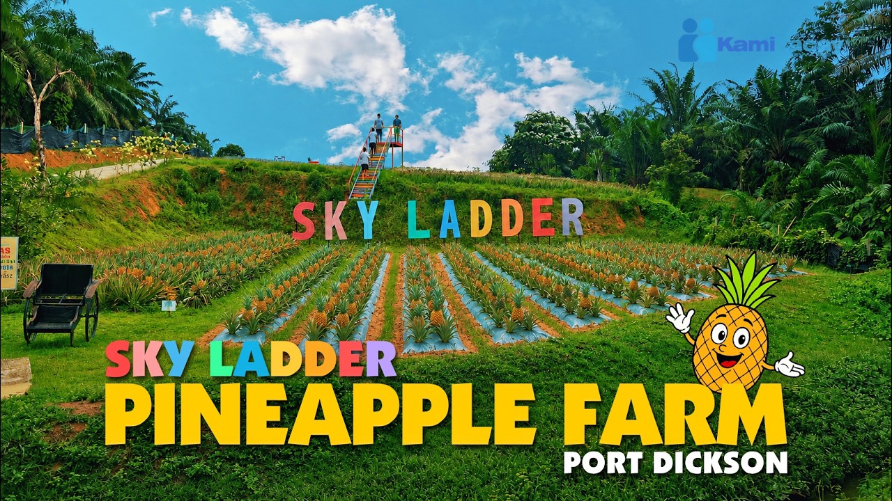 🍍 SKY LADDER PINEAPPLE FARM | PORT DICKSON'S HIDDEN GEM 🇲🇾 [4K]