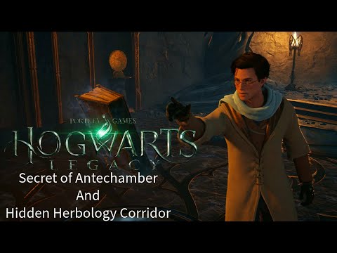 Hogwarts Legacy- Secret of Antechamber and Hidden Herbology Corridor
