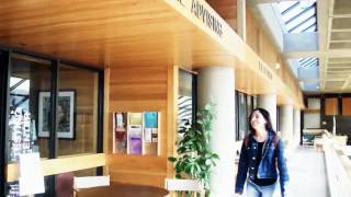 How to Transfer from Community College to a Four-Year University