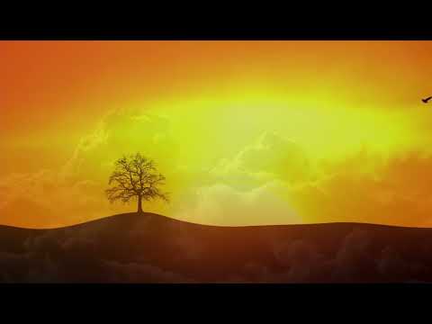 Irie Miah and the The Massive Vibes Screwed Up Lyrics Video