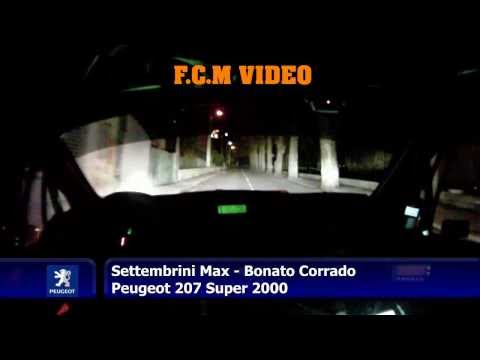 CameraCar Rallye Monte Carlo 2011 Settembrini - Bonato Peugeot 207 Super 2000 P.S.12