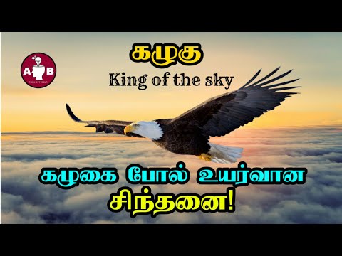 Eagle Motivation in Tamil /கழுகின் 7 தலைசிறந்த குணங்களும் நமக்கான பாடங்களும்/ Life Lesson from Eagle