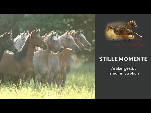 Stille Momente Ismer