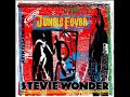 Stevie Wonder - Make Sure You're Sure