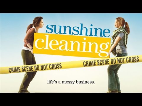 Sunshine Cleaning Blu ray Review