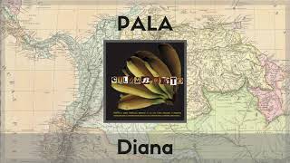 Diana Music Video