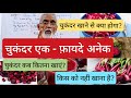 चुकंदर एक फ़ायदे अनेक चुकंदर खाने से क