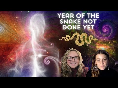 The Year of the Snake is Still Shedding it's Skin, What to Expect